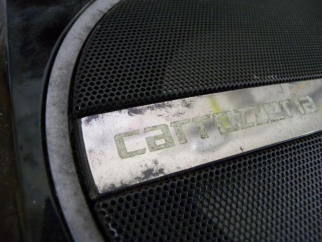 【carrozzeria】TS-WX110A