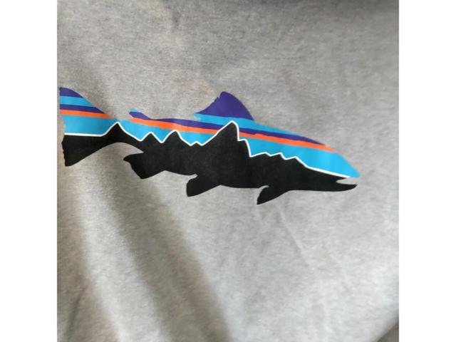 【売約済み 特定のお客様以外注文不可】※リブ伸び サイズS PATAGONIA パーカー グレー