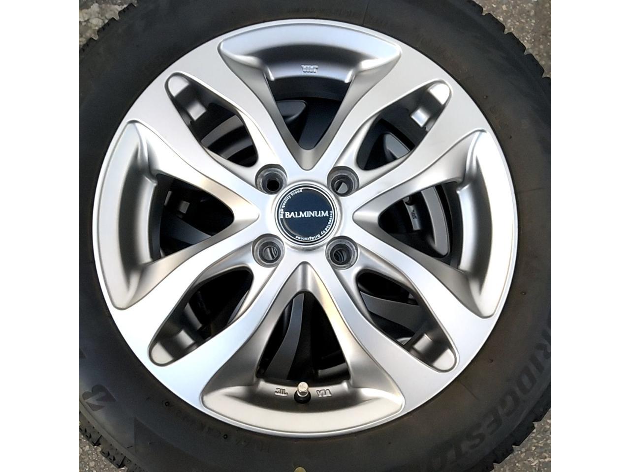 BRIDGESTONE BALMINUM DS-M