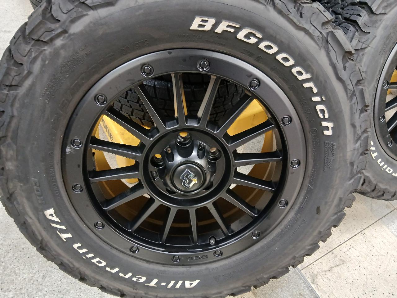 OSG NEXT GEN + BFGoodrich All-trainT/A