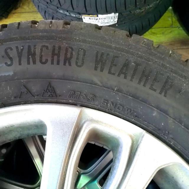 ARREEST 2×5本スポーク+DUNLOP SYNCHRO WEATHER 175/65R15 2024年製 4本セット
