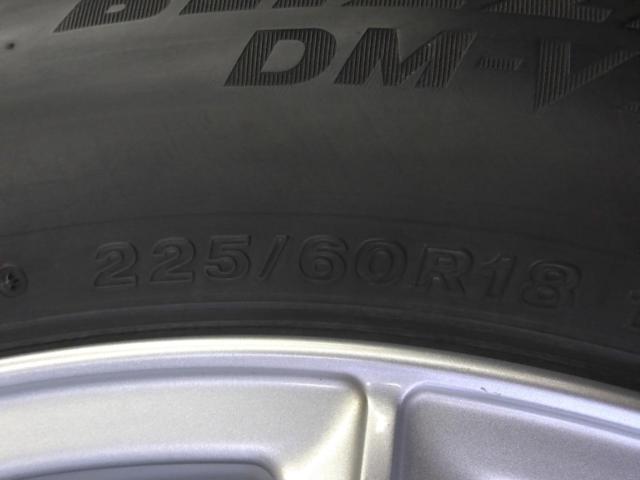 【BRIDGESTONE(ブリヂストン)】ECO FORME(エコフォルム) SE-15 (5HOLE)+【BRIDGESTONE】DM-V3