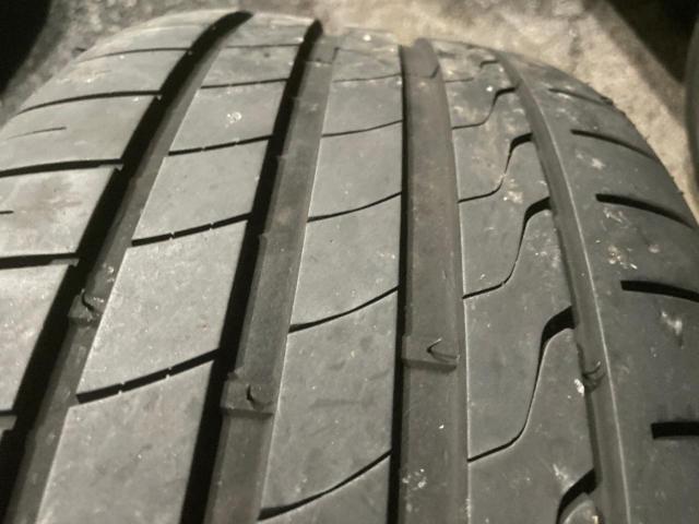 Carlsson 1/16 + 【MINERVA】 RADIAL F205