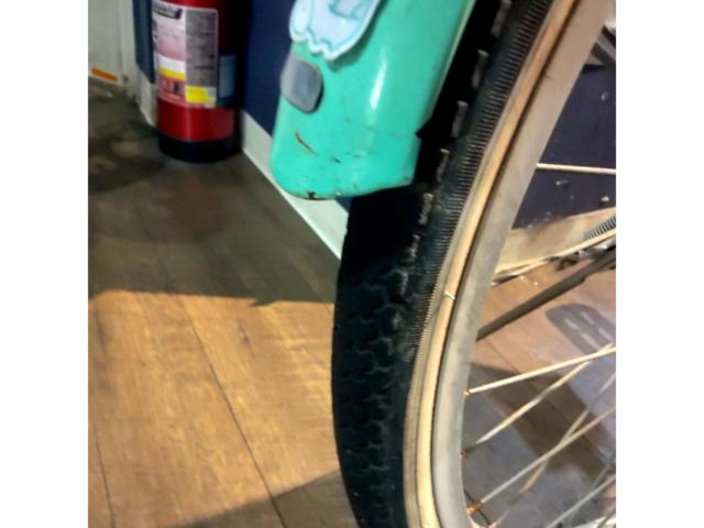 メーカー不明 TWINKER 24x1-3/8 シングルギア キッズ自転車 ホワイト×グリーン