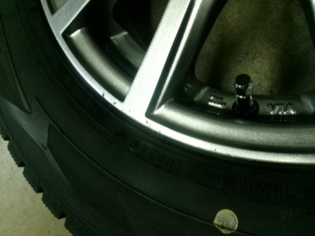 Lehrmeister ELBE Vスポーク + DUNLOP WINTERMAXX WM02