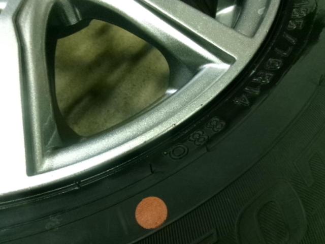 Lehrmeister ELBE Vスポーク + DUNLOP WINTERMAXX WM02