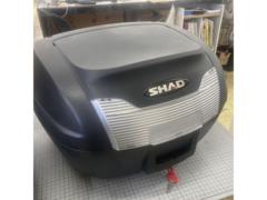 【SHAD】SH40