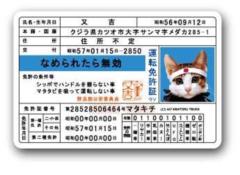 LCS-447 ダイカットビニールステッカー