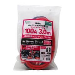 ダイジ BT-22 ブースターケーブル 100A3m