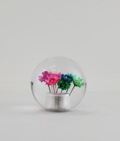 ブレイス AF-223 水中花シフトノブ 丸5cm 12×1.25