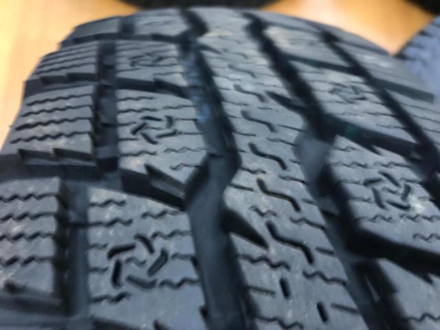 PREMIX PUDIN  + TOYO(トーヨー) OBSERVE W/T-R