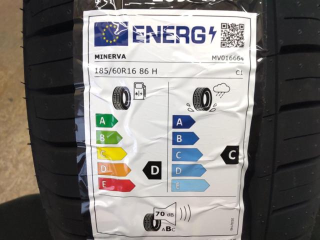 MINERVA 209