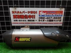  AKRAPOVIC (Akurapo Vittorio h)
Slip-on
Line
Silencer
Removed 1190 ADOVENTURE ('15)