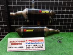 AKRAPOVIC (Akurapo Vittorio h)
SLIP
ON
LINE
Carbon silencer
Ninja1000/ABS(2BL-ZXT00W)(’17-’19)