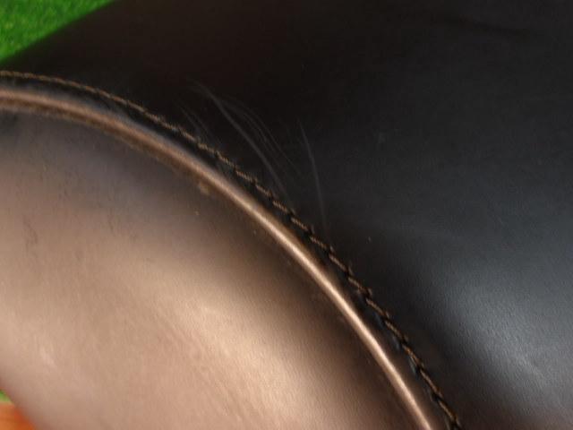Harley-Davidson
Genuine
Detachable Leather Saddlebag
Right and left
FLSTFB1580 ('10)