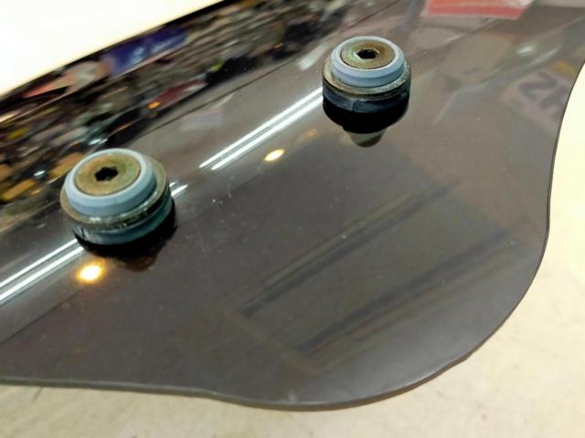 DAYTONA (Daytona)
Windshield SS
Screen only