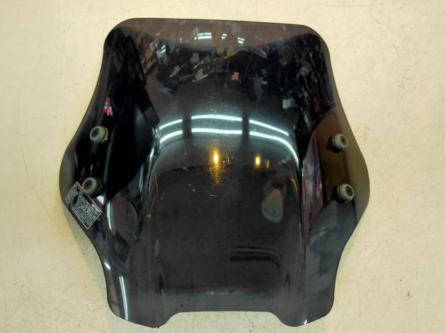 DAYTONA (Daytona)
Windshield SS
Screen only
