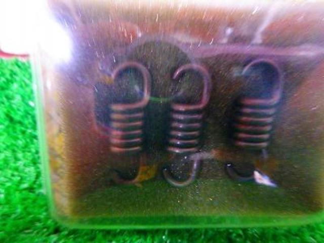 2 chameleon factory
Strengthening clutch spring