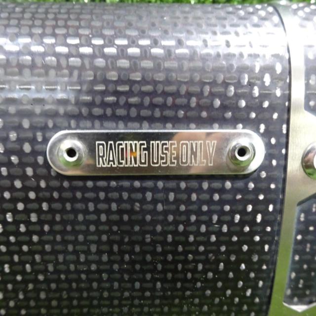 ☆【AKRAPOVIC(アクラポヴィッチ)】 スリップオンライン カーボン 