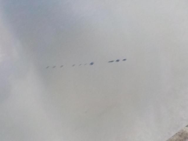 日産純正(NISSAN) C35ローレルクラブS前期純正フロントバンパー + リップスポイラー