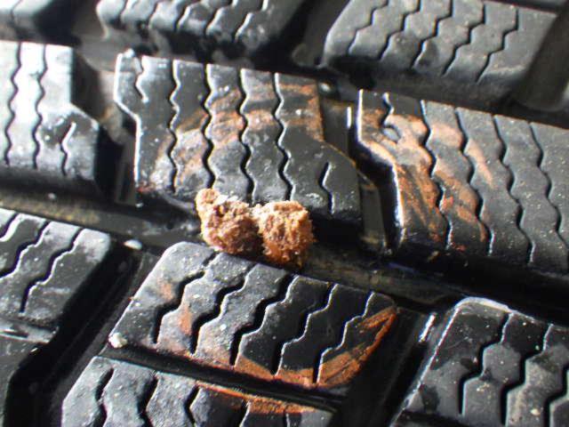 TOYO(トーヨー) NEXTA(ネクスタ) NEXTA 5本スポーク  + GOODYEAR(グッドイヤー) ICE NAVI7  4本セット