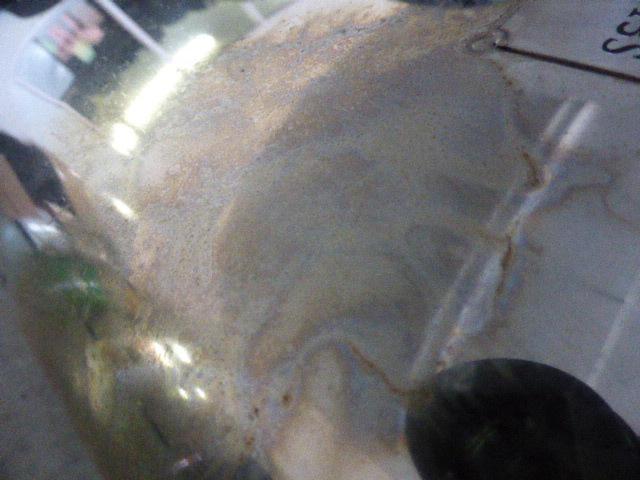 ZEES マフラー