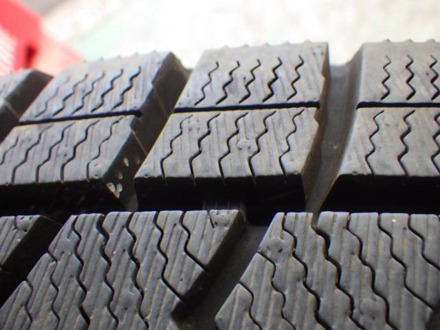 FANG  + DUNLOP(ダンロップ) WINTERMAXX WM02