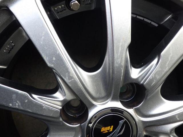 FANG  + DUNLOP(ダンロップ) WINTERMAXX WM02