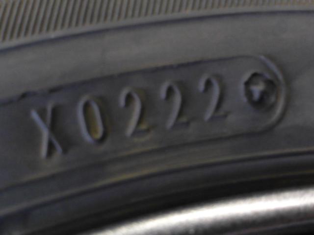 Fang  + DUNLOP(ダンロップ) WINTERMAXX WM02