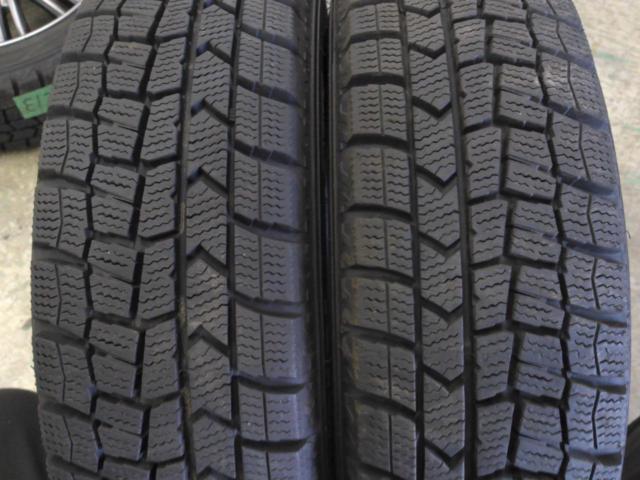 Fang  + DUNLOP(ダンロップ) WINTERMAXX WM02