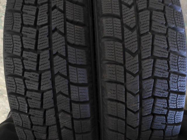 Fang  + DUNLOP(ダンロップ) WINTERMAXX WM02