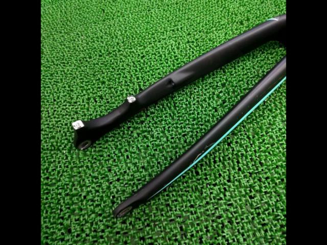 3大特価 BIANCHI モデル不明 K-VID/ディスクブレーキカーボンフォーク コラム長 190/エンド100