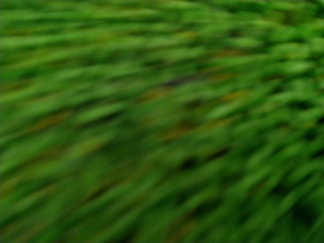 carrozzeria
TS-STH1000
Satellite speaker