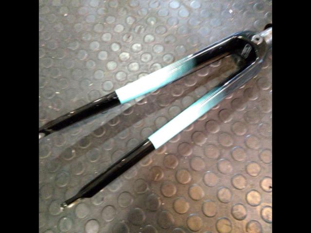 2大特価 BIANCHI コラム長233mm 700Cカーボンフォーク モデル不明