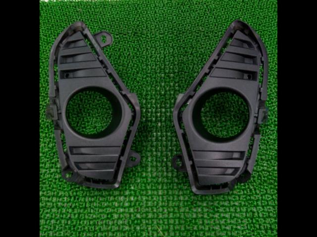 【トヨタ純正】50系RAV4 フォグガーニッシュ