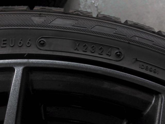 VELVA SPORT  + DUNLOP(ダンロップ) WINTERMAXX 03