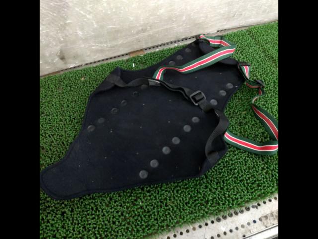 Unknown Manufacturer
Back protector