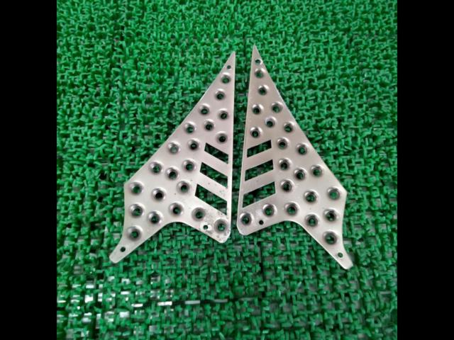 Unknown Manufacturer
Aluminum step plate
Signas X (SEA 5 J
Type 4)