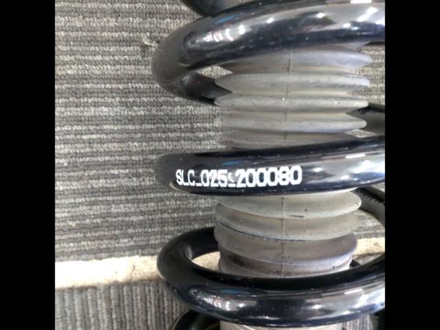 Z.S.S Rigel 全長式車高調