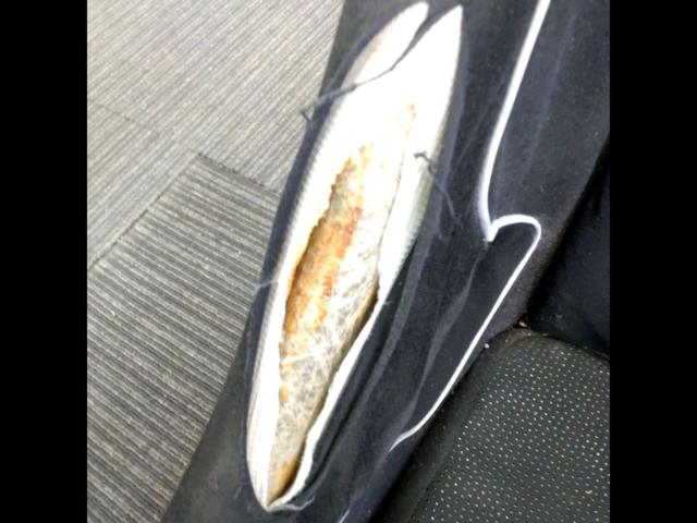 SPARCO REV PLUS フルバケットシート