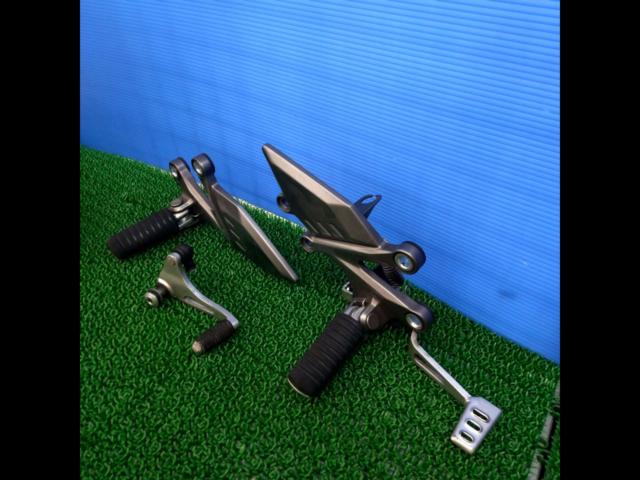 Ninja250SL
Genuine step set