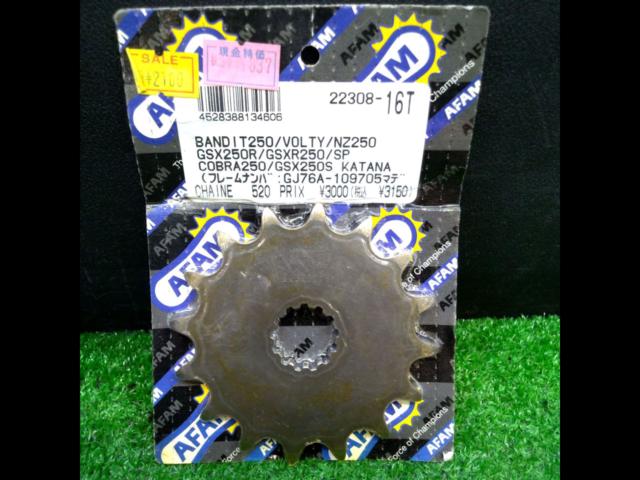 GSX250/GSXR250
etc...AFAM
Front sprocket 16T