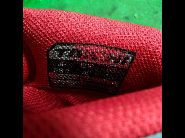 Size: 26.5cm
RSTaichi
RSS006
DRYMASTER
BOA
Riding shoes