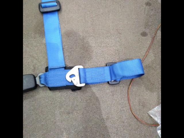 WILLANS
4-point seat belt