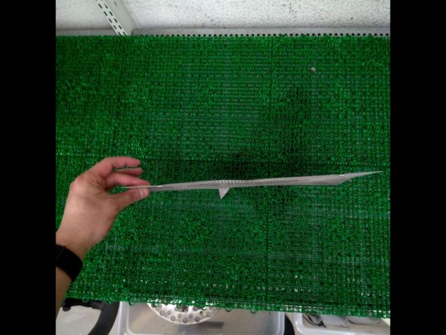 AGRAS
309-165-A00
Radiator core guard for CBR954RR (SC50) (with AGRAS logo)