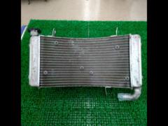 Ducati Monster S4R
Genuine radiator
With fan