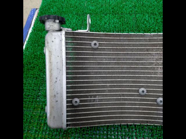 Ducati Monster S4R
Genuine radiator
With fan