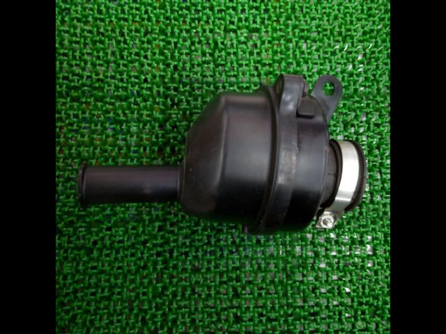 Genuine Honda air filter
Monkey