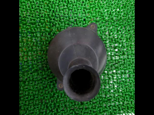 Genuine Honda air filter
Monkey