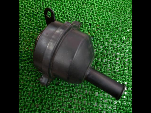 Genuine Honda air filter
Monkey